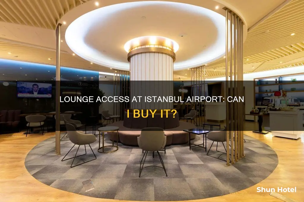 can i buy lounge access at istanbul airport