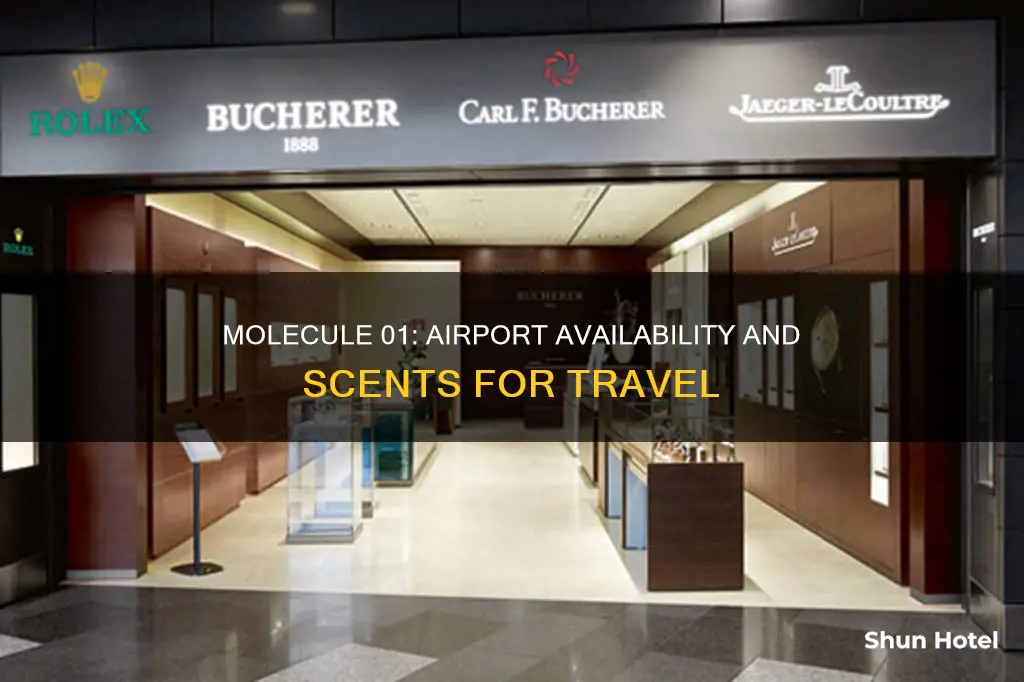 can i buy molecule 01 at the airport