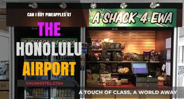 Honolulu Airport: Where to Buy Pineapples?