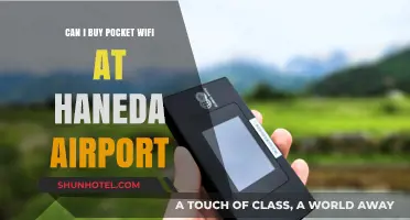 Pocket Wifi at Haneda Airport: Where to Buy?