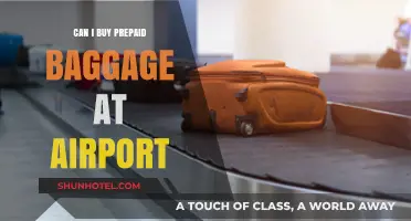 Prepaid Baggage: Buy at the Airport?