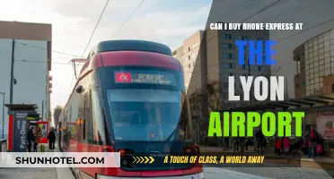 Rhone Express: Buying Tickets at Lyon Airport
