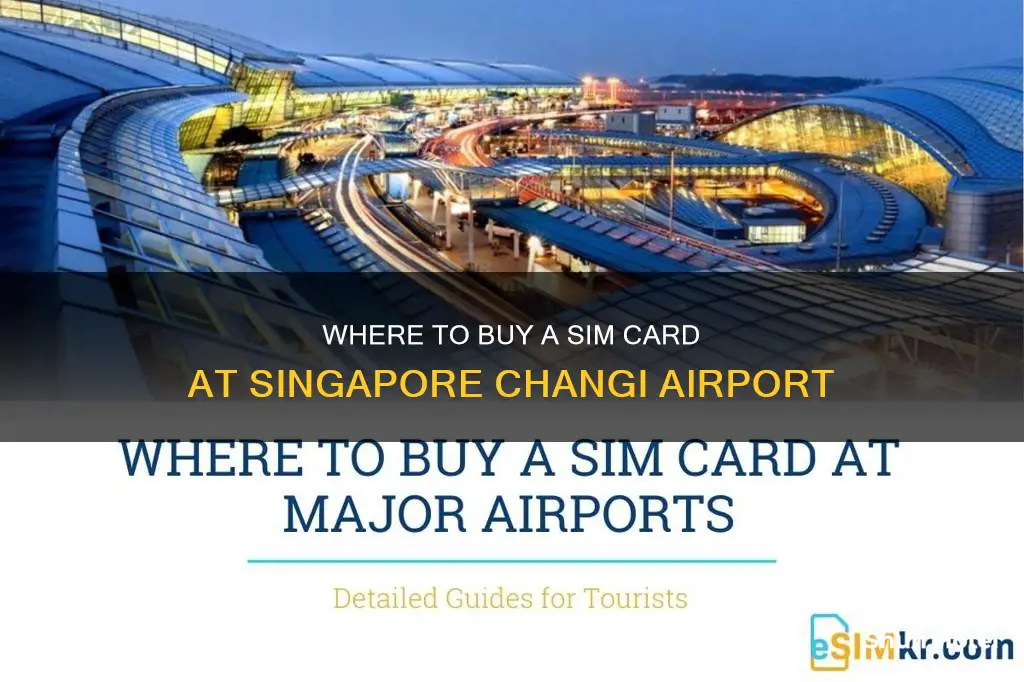 can i buy sim card at singapore airport