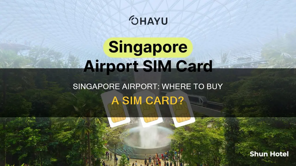 can i buy sim card in singapore airport