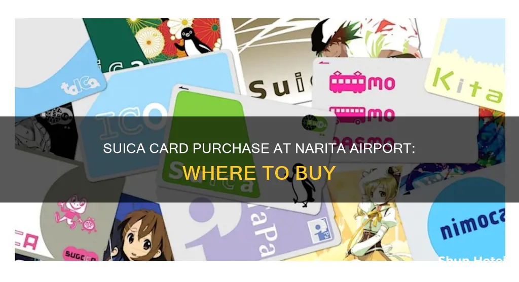 can i buy suica at narita airport