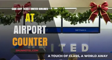 United Airlines: Buying Tickets at the Airport Counter