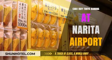 Tokyo Banana at Narita Airport: Where to Buy?