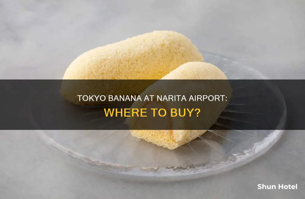 can i buy tokyo banana at narita airport