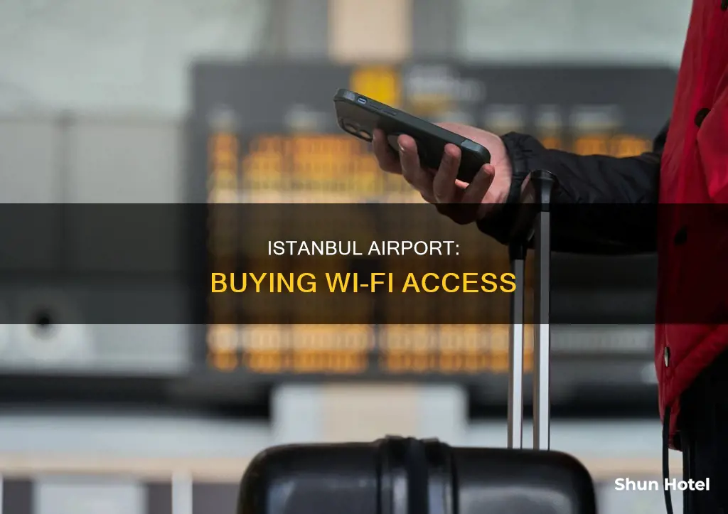 can i buy wifi at istanbul airport