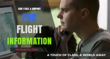 Quickly Accessing Flight Information: Calling the Airport