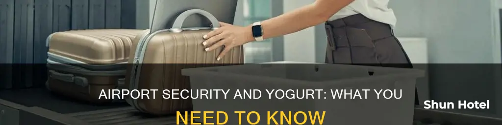 can i carry yogurt through airport security