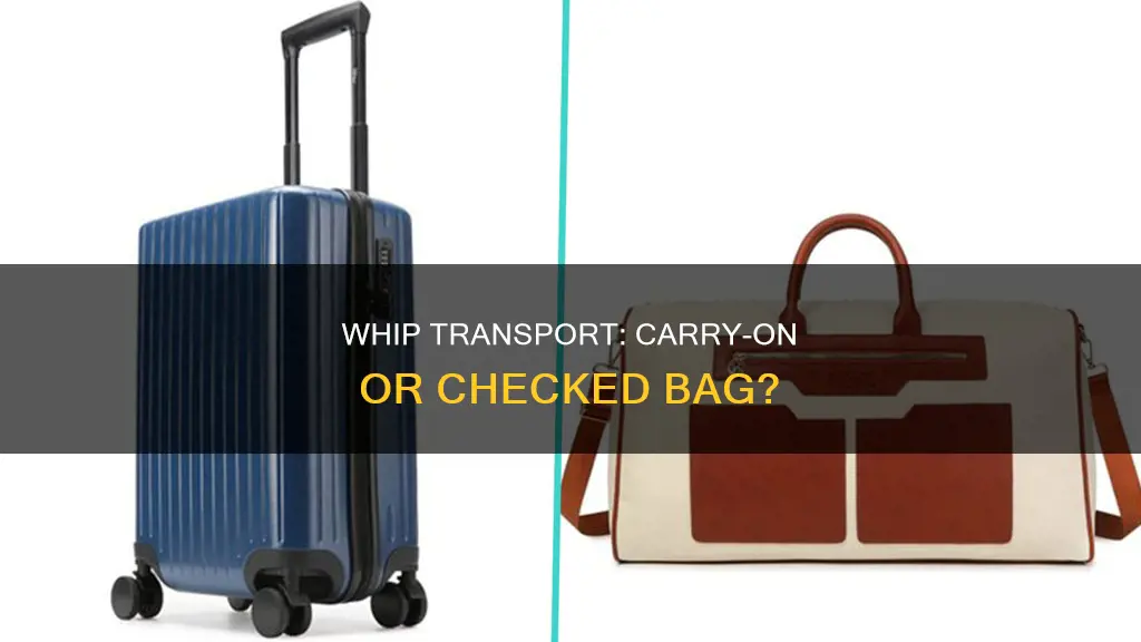can i carryon whips at airport