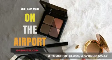 Traveling with Makeup: Can I Carry It on a Plane?