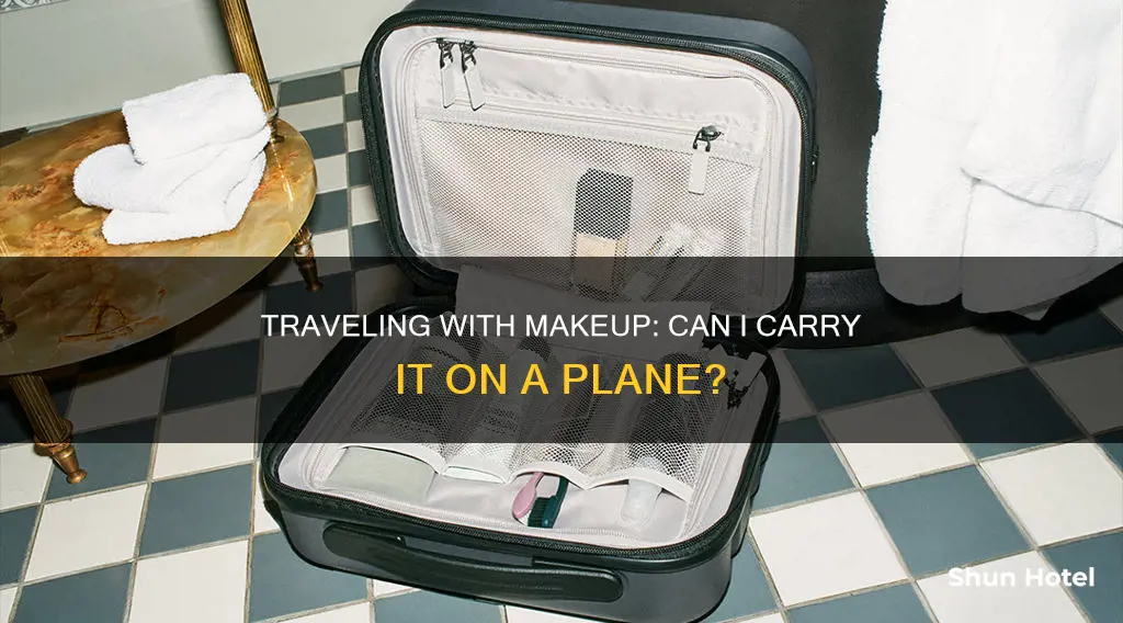 can i cary make on the airport