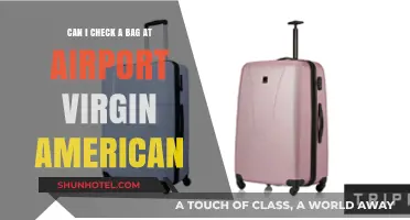 Checking Bags at the Airport with Virgin America