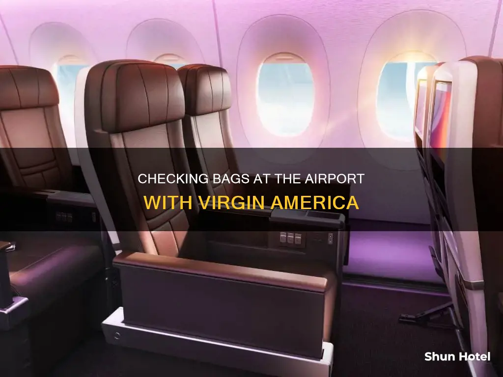 can i check a bag at airport virgin american