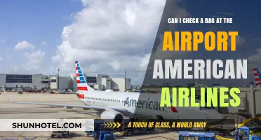 Checking Bags with American Airlines: What You Need to Know