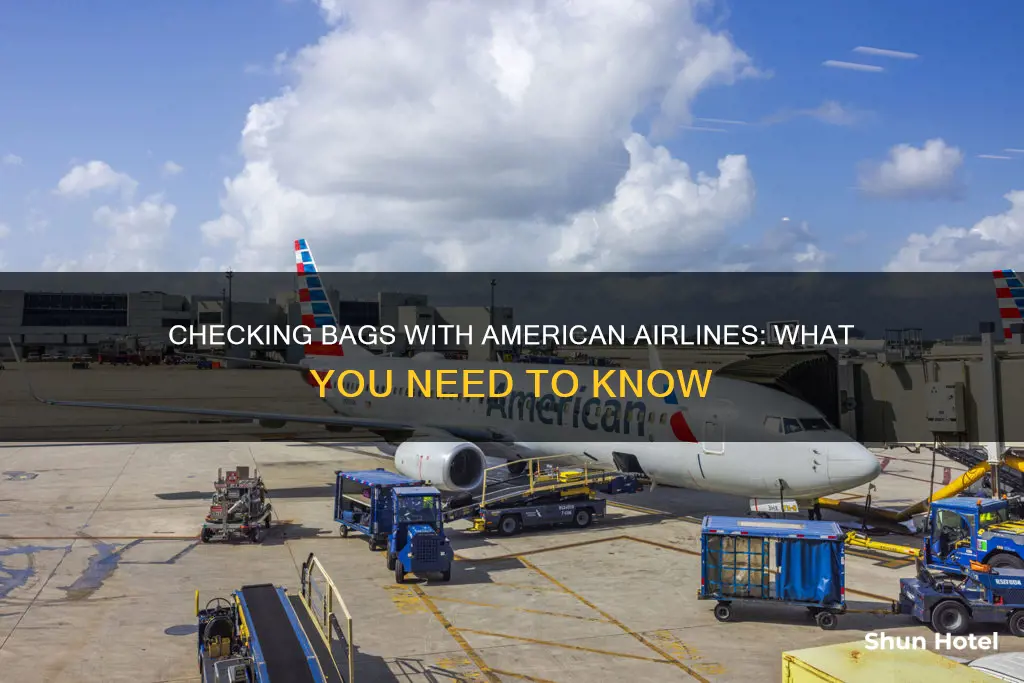 can i check a bag at the airport american airlines