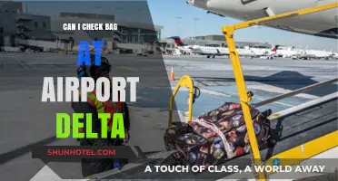 Checking Bags at the Airport with Delta: What You Need to Know