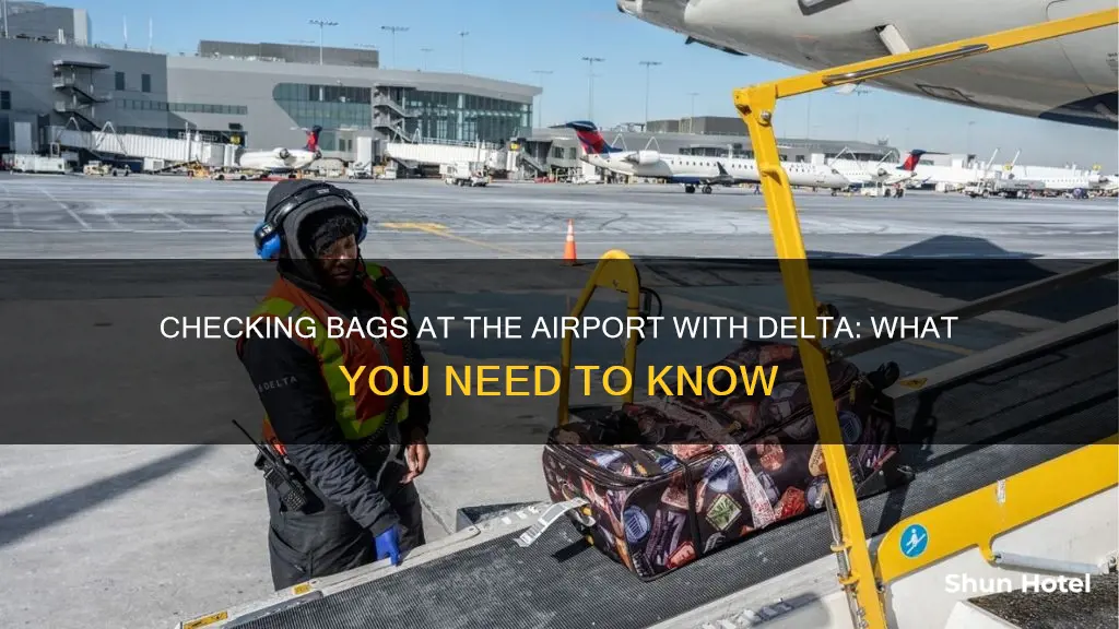 can i check bag at airport delta