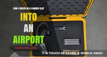 Travelers, Leave Loaded Gun Clips at Home