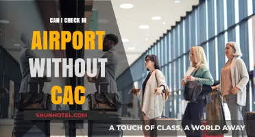 Airport Check-Ins: CAC-Free Possibilities