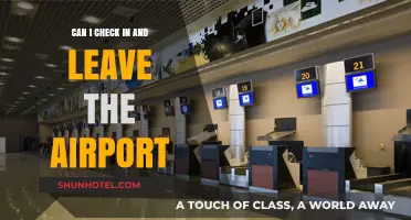 Exploring the Airport: Checking In and Leaving