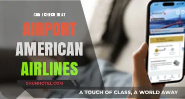 Checking in at the Airport with American Airlines