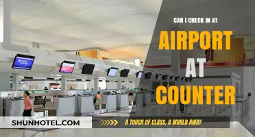 Airport Check-In: Counter or Kiosk?