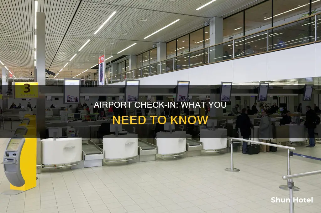 can i check in at airport