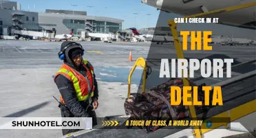 Delta Airport Check-In: What You Need to Know