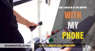 Mobile Check-In: The Future of Airport Travel