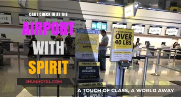 Spirit Airlines: Checking In at the Airport