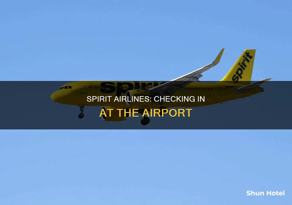 can i check in at the airport with spirit