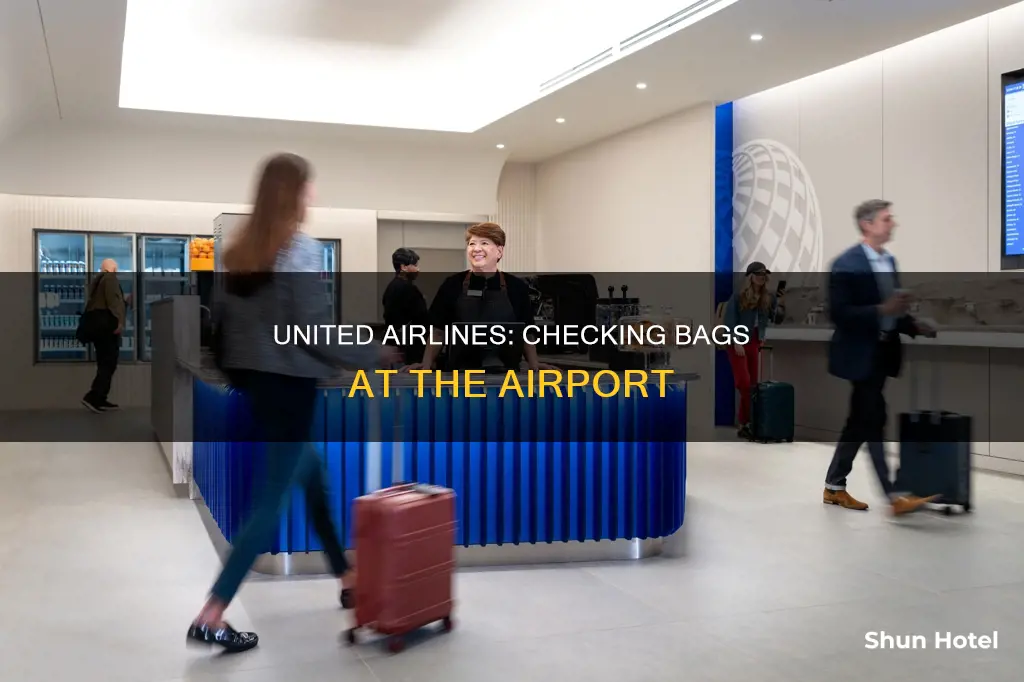 can i check in bags at airport in united airline