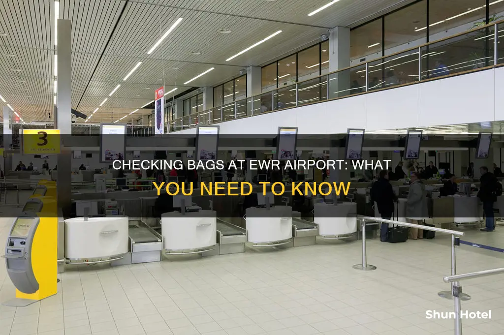 can i check in bags at ewr airport