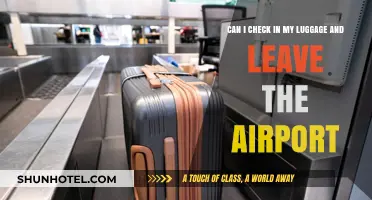 Exploring the Airport: Checking In and Checking Out