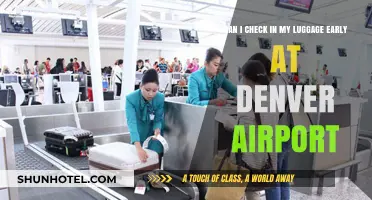 Early Check-In: Denver Airport Luggage Options
