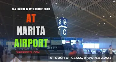 Early Check-In: Narita Airport Luggage Options