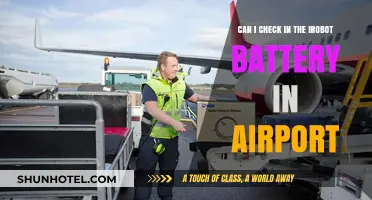 Airport Security: iRobot Battery Check-In