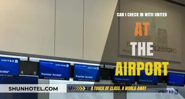 United Check-In Options: Airport Kiosks or Online?