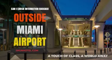 Miami Airport: Checking International Baggage Outside