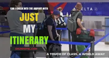 Smart Travel: Boarding with Just an Itinerary