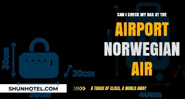 Checking Bags with Norwegian Air: What You Need to Know