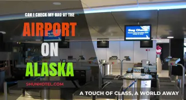 Checking Bags on Alaska: What You Need to Know