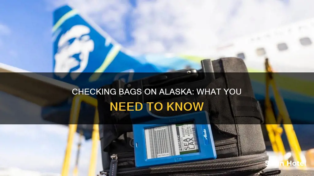 can i check my bag at the airport on alaska