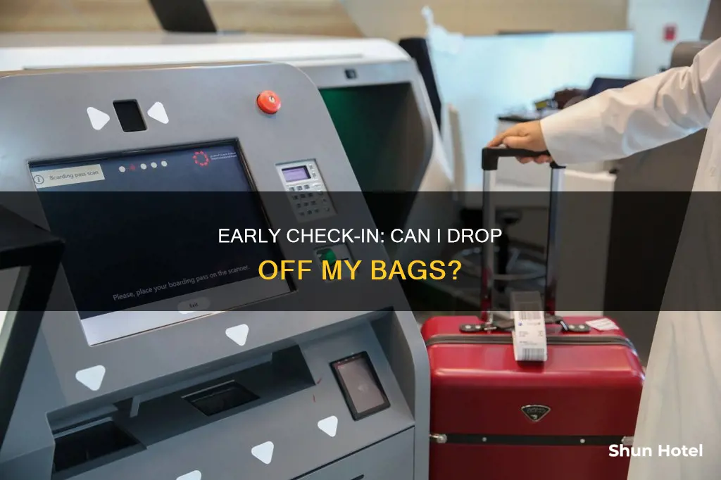 can i check my bags early at the airport
