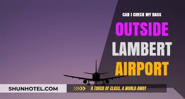 Lambert Airport: Where to Store Your Bags?