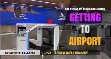What's in Your Bag? Delta's Airport Baggage Check-In