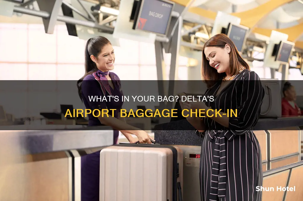 can i check my dealta bags befero getting to airport